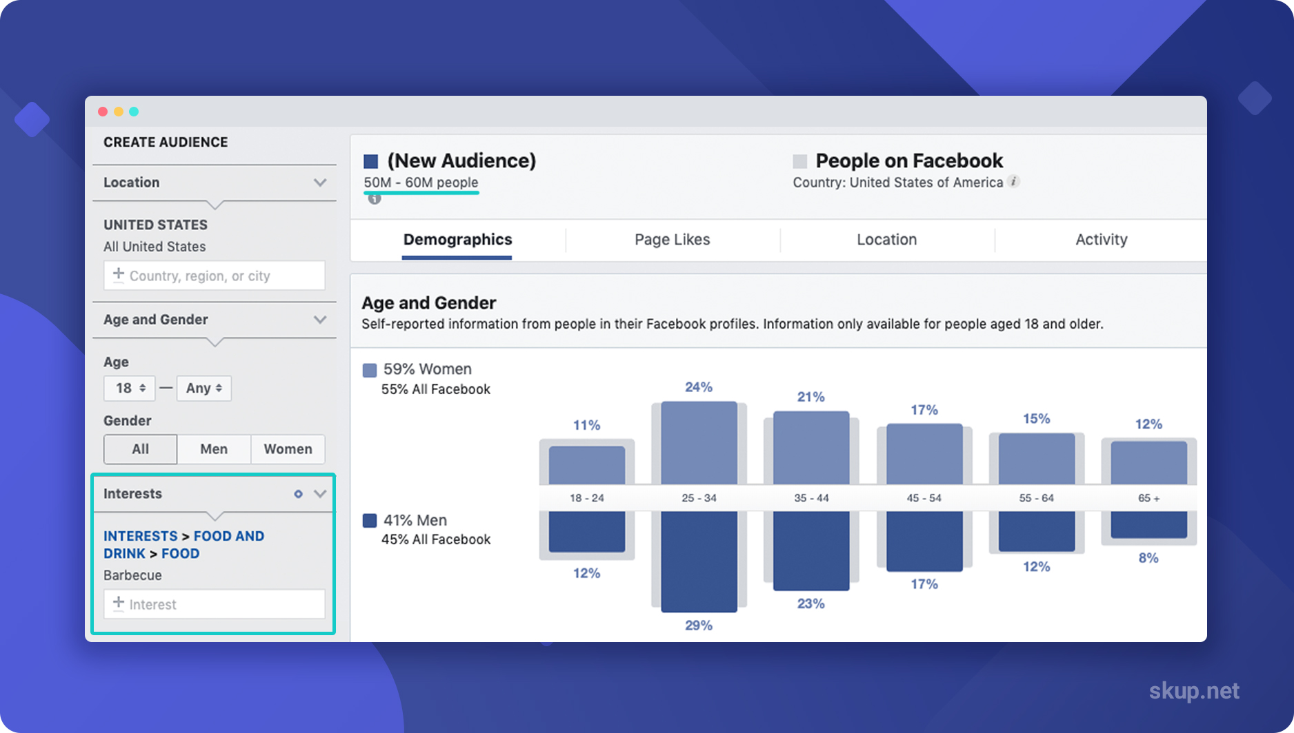 audience insights facebook 