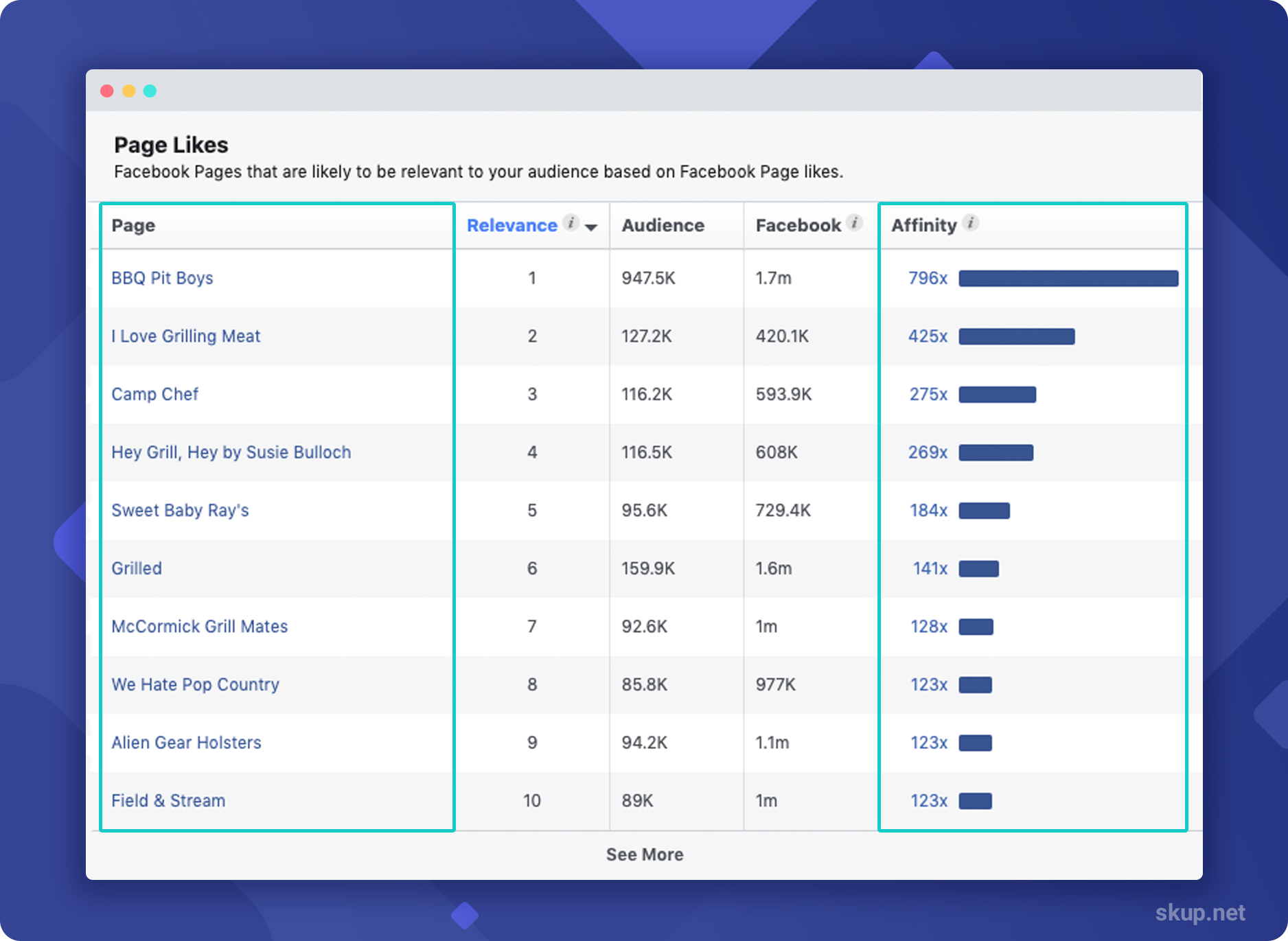 facebook audience insights 