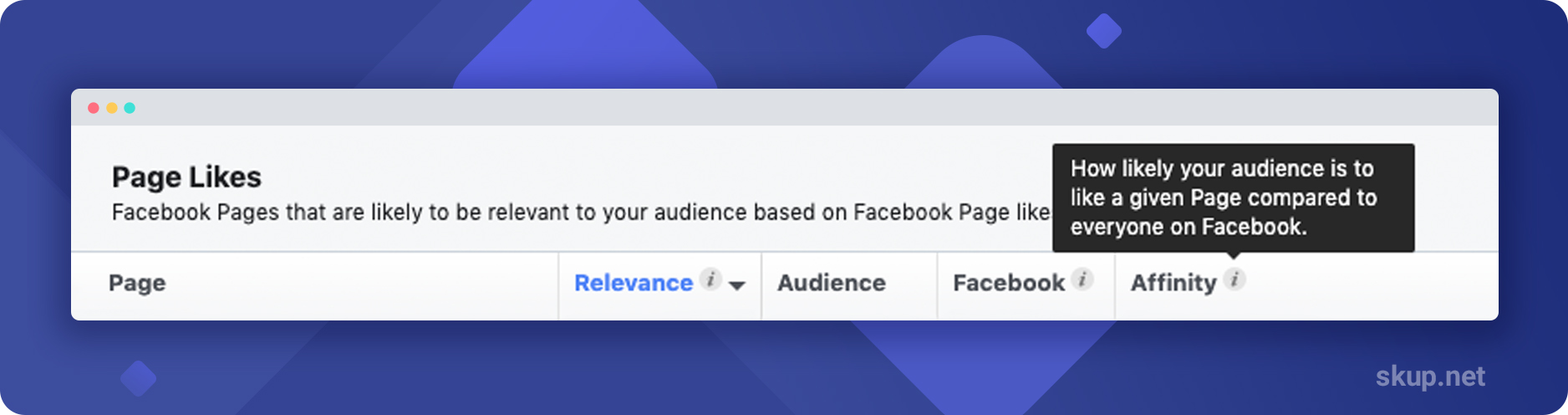 audience insights facebook