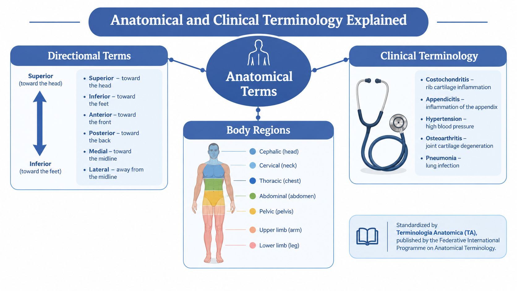 An educational diagram explaining common anatomical, directional, and clinical terminology used in the field of medicine.