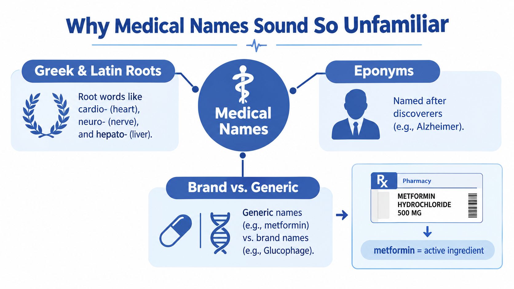 An infographic explaining why medical terminology often sounds unfamiliar, including Greek roots, eponyms, and generic medication naming conventions.