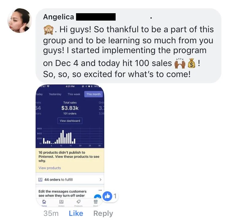 Angelica: 100 sales and 3,830 dollars in her first 17 days
